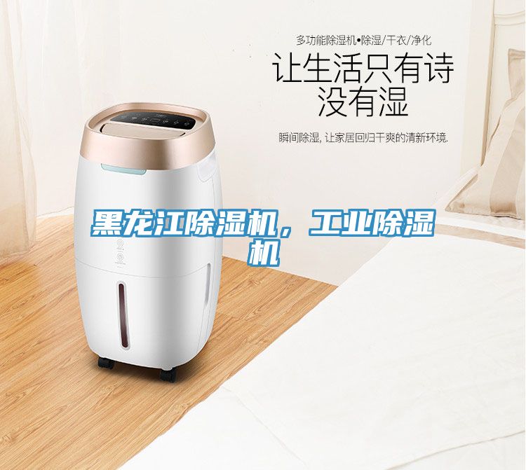 黑龍江除濕機，工業除濕機